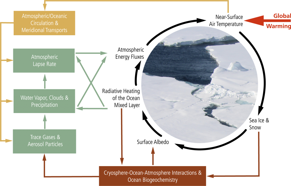 The simplified (AC)³ schematic of important local and remote processes and feedback mechanisms driving Arctic amplification. The figure illustrates the initial triggering by Global Warming (red), and shows examples of process/feedback mechanisms such as the local Surface Albedo Feedback (black), Upper Ocean Effects (brown), local Atmospheric Processes (green), and remote Arctic - Midlatitude Linkages (yellow). Adapted from Wendisch et al. (2023).