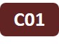 Icon project C01