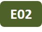Icon project E02