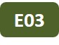 Icon project E03