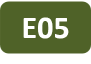 Icon project E05