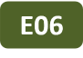 Icon project E06
